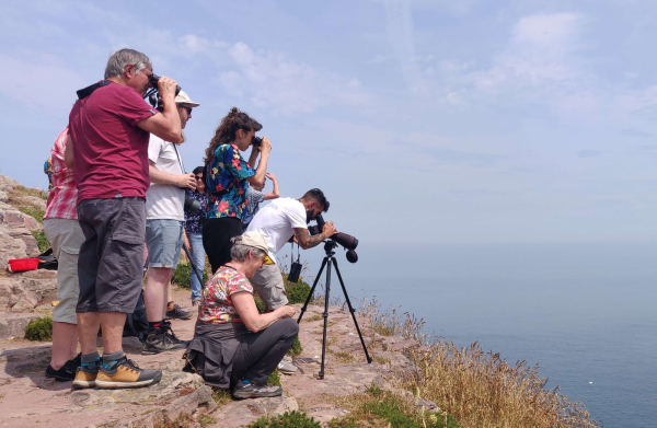Sortie Observons les oiseaux